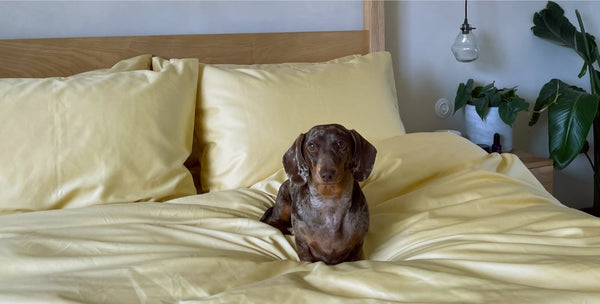 “The quality is second to none. Even after washing they are the most comfortable sheets I have ever slept on.”