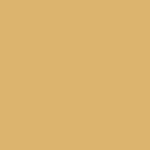 Refined Rustic - Turmeric Yellow